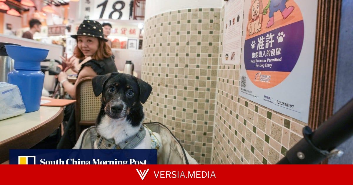 More than 30 restaurants pull out of dog-friendly scheme, 70 warnings issued